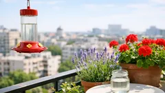 Nectar pentru colibri: rețeta 1:4 corectă și ce greșeli să eviți