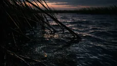 Microplasticele invizibile: cum pot zonele umede să le oprească înainte să ajungă în mare