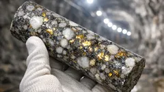 Cum a ajuns aurul din Witwatersrand la 1.900 m altitudine și de ce nu vine din magmă