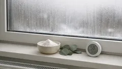 Cum scapi de condensul de pe ferestre iarna: trucul simplu cu bicarbonat pe pervaz