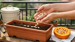 Nu arunca semințele de dovleac: 3 moduri simple să le folosești în ghivece, grădină și compost