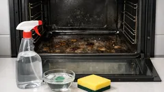 Cum cureți cuptorul de grăsime arsă cu oțet și detergent de vase, fără bicarbonat