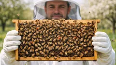 Tratament revoluționar contra Varroa: ce este RNAi și când ar putea ajunge în România