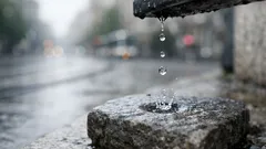 Picăturile de apă străpung piatra: cum construiești consecvența care chiar dă rezultate