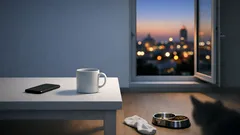 De ce vorbim cu animalele de companie ca și cum ar înțelege: explicația psihologică