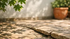 Arțarul în curte mică: cum alegi arborele de umbră potrivit și eviți problemele cu rădăcinile